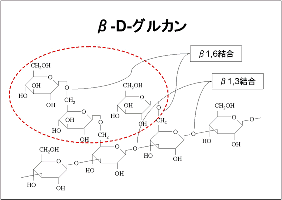 β-D-グルカンの構造式